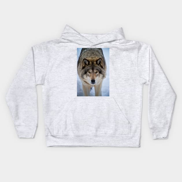 Timber Wolf Kids Hoodie by jaydee1400